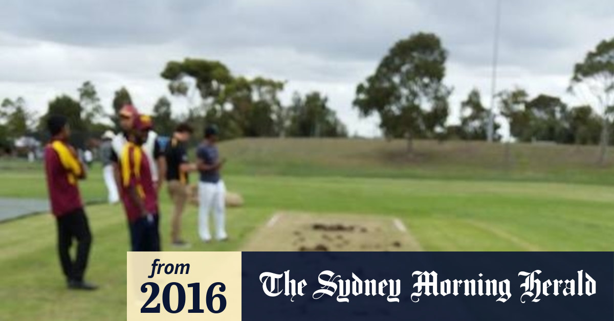 Cricket pitch vandalised, ruining Kingsville Baptist Cricket Club's